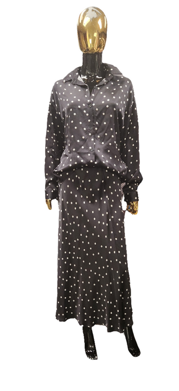 Silky 2PC Skirt Set