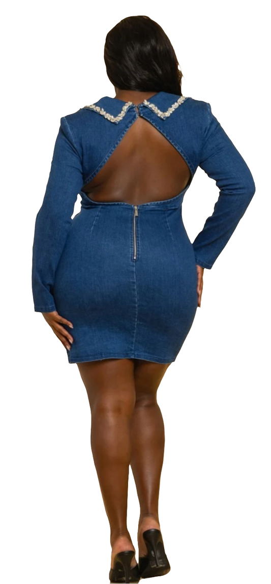 Denim/Bling Dress