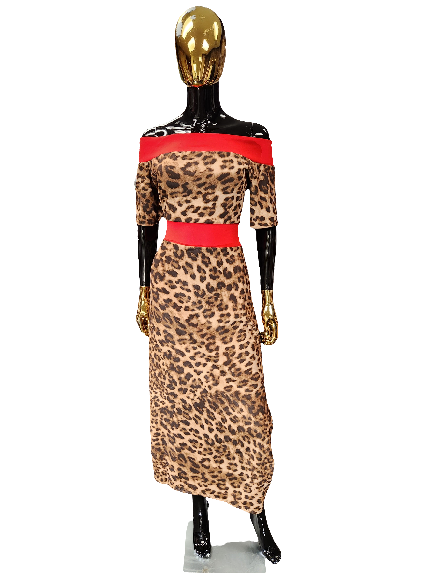 Red/Animal Print Dress